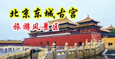 嫩B图中国北京-东城古宫旅游风景区
